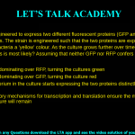 E. coli was engineered to express two different fluorescent proteins (GFP and RFP) under identical promoters. The strain is engineered such that the two proteins are expressed at a 1:1 ratio, giving the bacteria a ‘yellow’ colour. As the culture grows further over time, which of the following scenarios is most likely? Assuming that neither GFP nor RFP confers any kind of selection pressure. GFP starts predominating over RFP, turning the cultures green RFP starts predominating over GFP, turning the culture red Individual bacterium in the culture starts expressing the two proteins distinctly, providing a mosaic pattern Robust regulatory mechanisms for transcription and translation ensure the maintenance of 1:1 ratio, thus the culture will remain ‘yellow’.