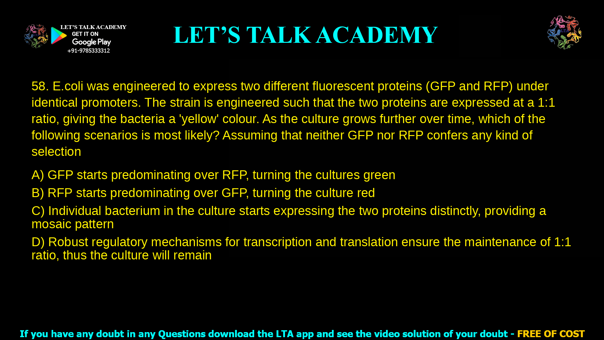 E. coli was engineered to express two different fluorescent proteins (GFP and RFP) under identical promoters. The strain is engineered such that the two proteins are expressed at a 1:1 ratio, giving the bacteria a ‘yellow’ colour. As the culture grows further over time, which of the following scenarios is most likely? Assuming that neither GFP nor RFP confers any kind of selection pressure. GFP starts predominating over RFP, turning the cultures green RFP starts predominating over GFP, turning the culture red Individual bacterium in the culture starts expressing the two proteins distinctly, providing a mosaic pattern Robust regulatory mechanisms for transcription and translation ensure the maintenance of 1:1 ratio, thus the culture will remain ‘yellow’.
