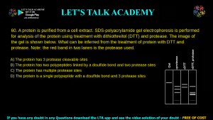 TIFR Previous Year Question Papers 2021 Biology With Answer Key Download