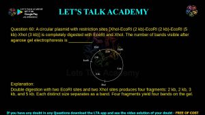 iit jam biotechnology previous year paper pyq 2024 video solution