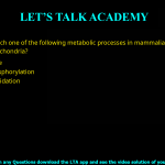 Q.20 Which one of the following metabolic processes in mammalian cells does NOT occur in the mitochondria? (A) Citric acid cycle (B) Oxidative phosphorylation (C) Fatty acid β-oxidation (D) Glycolysis