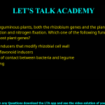 Q.36 In leguminous plants, both the rhizobium genes and the plant genes influence nodulation and nitrogen fixation. Which one of the following functions is NOT encoded by the host plant genes? (A) Production of inducers that modify rhizobial cell wall (B) Production of flavonoid inducers (C) Establishment of contact between bacteria and legume (D) Root hair curling