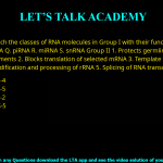 Q.38 Match the classes of RNA molecules in Group I with their functions in Group II.   Group I                                         Group II P. snoRNA                   1. Protects germline from transposable elements Q. piRNA                     2. Blocks translation of selected mRNA R. miRNA                    3. Template for telomere elongation S. snRNA                     4. Modification and processing of rRNA 5. Splicing of RNA transcripts (A) P-3, Q-5, R-2, S-4 (B) P-1, Q-3, R-2, S-5 (C) P-1, Q-4, R-5, S-2 (D) P-4, Q-1, R-2, S-5