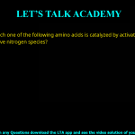 Q.40 Which one of the following amino acids is catalyzed by activated macrophages to produce reactive nitrogen species? (A) Arginine (B) Asparagine (C) Cysteine (D) Histidine