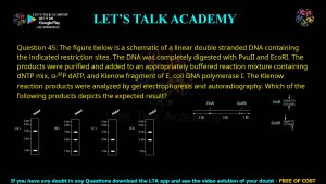 GATE Life Science 2012 Previous Year Papers with Solutions