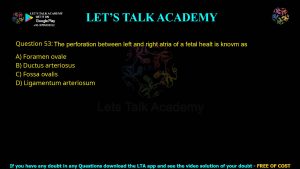 CUET PG Life Science 2024 Previous Year Question Papers PDF with Solutions
