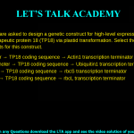 Q.57 You are asked to design a genetic construct for high-level expression of a gene encoding the therapeutic protein 18 (TP18) via plastid transformation. Select the CORRECT set of genetic elements for this construct. (A) Actin1 promoter → TP18 coding sequence → Actin1 transcription terminator (B) Ubiquitin1 promoter → TP18 coding sequence → Ubiquitin1 transcription terminator (C) rbcS promoter → TP18 coding sequence → rbcS transcription terminator (D) rbcL promoter → TP18 coding sequence → rbcL transcription terminator