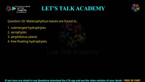CUET PG Botany 2024 Previous Year Question Papers PDF with Solutions