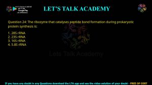 CUET PG Previous Year Question Papers PDF with Solutions