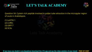 CUET PG Botany 2023 Previous Year Question Papers Shift-3 PDF with Solutions