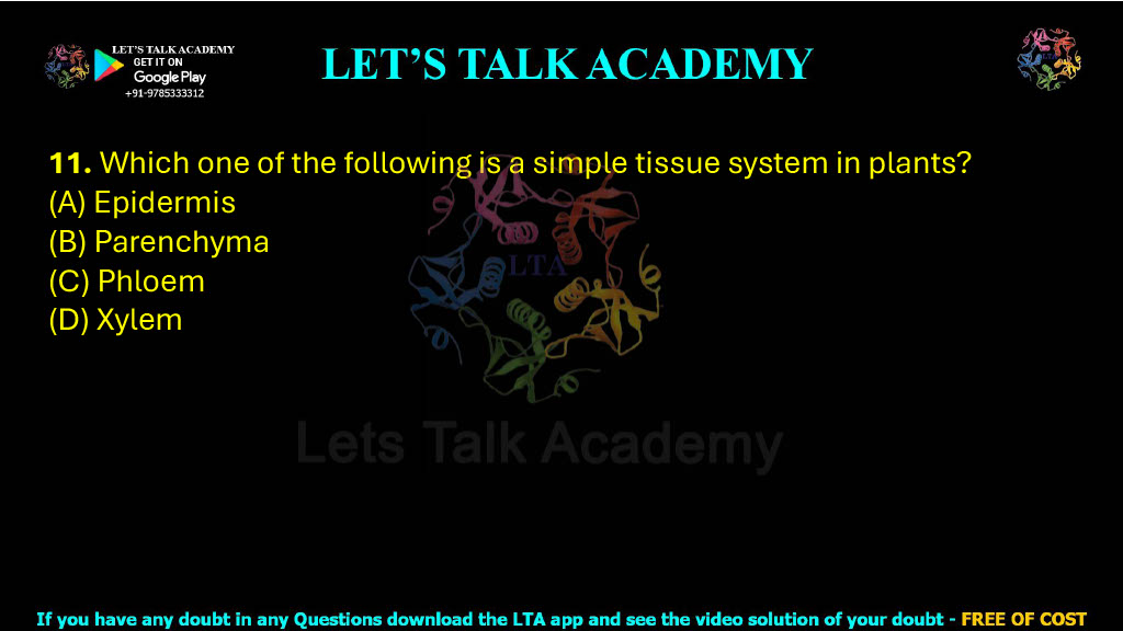 11. Which one of the following is a simple tissue system in plants?  (A) Epidermis (B) Parenchyma (C) Phloem (D) Xylem