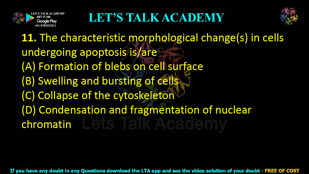 11. The characteristic morphological change(s) in cells undergoing apoptosis is/are  (A) Formation of blebs on cell surface (B) Swelling and bursting of cells (C) Collapse of the cytoskeleton (D) Condensation and fragmentation of nuclear chromatin