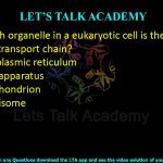 12. Which organelle in a eukaryotic cell is the site of electron transport chain?    (A) Endoplasmic reticulum (B) Golgi apparatus (C) Mitochondrion (D) Peroxisome