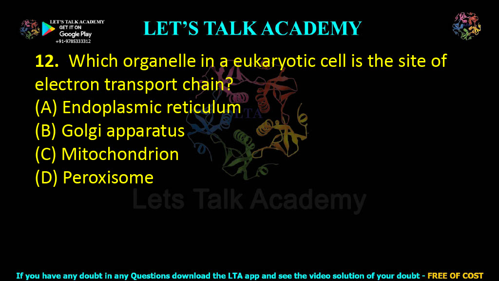12. Which organelle in a eukaryotic cell is the site of electron transport chain?    (A) Endoplasmic reticulum (B) Golgi apparatus (C) Mitochondrion (D) Peroxisome