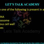 13. Which one of the following is present in a bacterial cell?  (A) 28S rRNA (B) 70S ribosome (C) Chitinous cell wall (D) Histones