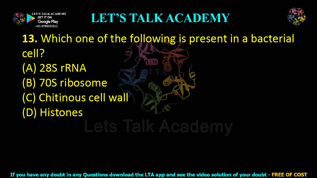 13. Which one of the following is present in a bacterial cell?  (A) 28S rRNA (B) 70S ribosome (C) Chitinous cell wall (D) Histones