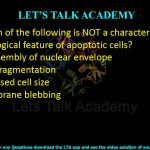 14. Which of the following is NOT a characteristic morphological feature of apoptotic cells?  (A) Disassembly of nuclear envelope (B) DNA fragmentation (C) Increased cell size (D) Membrane blebbing
