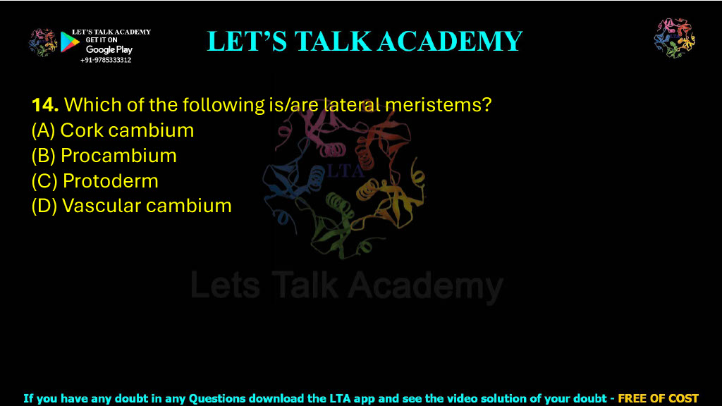 14. Which of the following is/are lateral meristems? (A) Cork cambium (B) Procambium (C) Protoderm (D) Vascular cambium