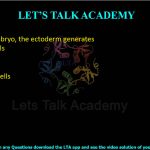 16. In chick embryo, the ectoderm generates  (A) alveolar cells (B) germ cells (C) neurons (D) red blood cells