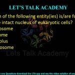 16. Which of the following entity(ies) is/are found inside the intact nucleus of eukaryotic cells?  (A) Centrosome (B) Lysosome (C) Nucleolus (D) Nucleosome