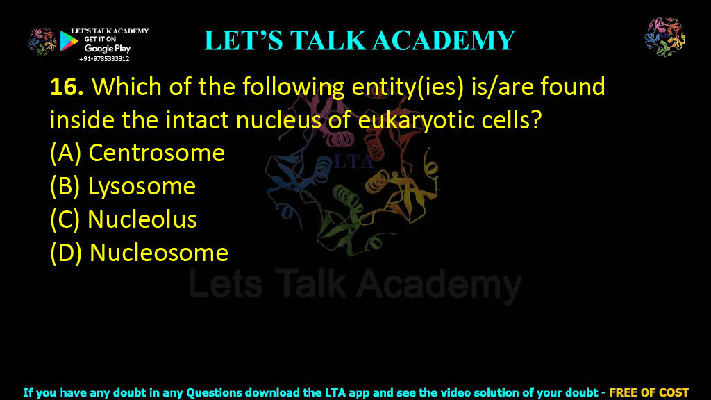 16. Which of the following entity(ies) is/are found inside the intact nucleus of eukaryotic cells?  (A) Centrosome (B) Lysosome (C) Nucleolus (D) Nucleosome