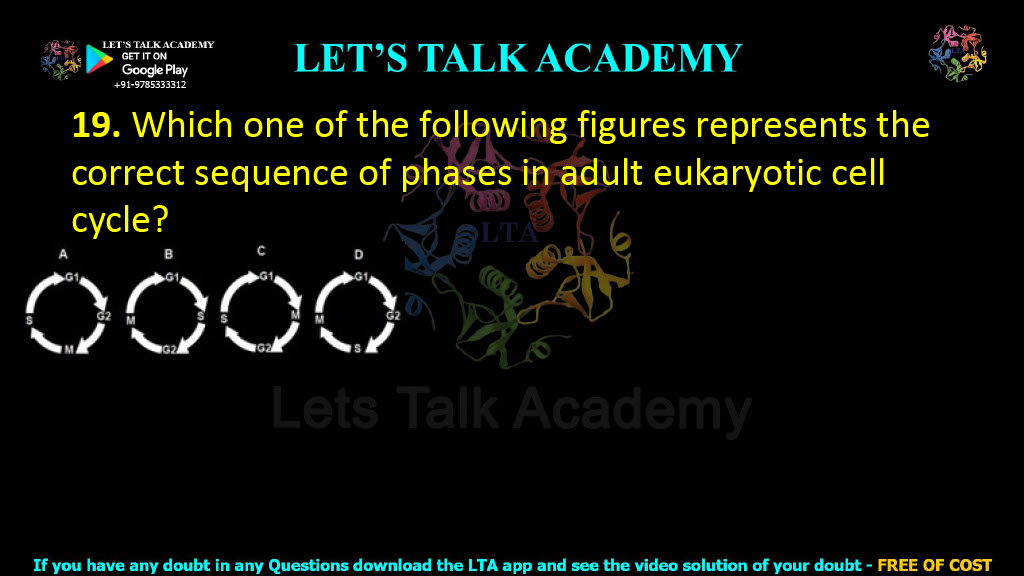 19. Which one of the following figures represents the correct sequence of phases in adult eukaryotic cell cycle?