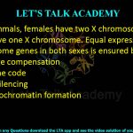 2. In mammals, females have two X chromosomes and males have one X chromosome. Equal expression of X-chromosome genes in both sexes is ensured by  (A) Dosage compensation (B) Histone code (C) RNA silencing (D) Heterochromatin formation