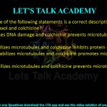 20. Which one of the following statements is a correct description of modes of action of taxol and colchicine?  (A) Taxol causes DNA damage and colchicine prevents microtubule formation (B) Taxol stabilizes microtubules and colchicine inhibits protein synthesis (C) Taxol destabilizes microtubules and colchicine promotes microtubule formation (D) Taxol stabilizes microtubules and colchicine prevents microtubule formation