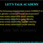 20. Which of the following statement(s) is/are CORRECT in the classical 'ABC model' for genetic control of flower development?      (A) 'Class A' genes solely determine sepal identity  (B) 'Class B' genes solely determine petal identity  (C) 'Class C' genes solely determine stamen identity  (D) 'Class C' genes solely determine carpel identity