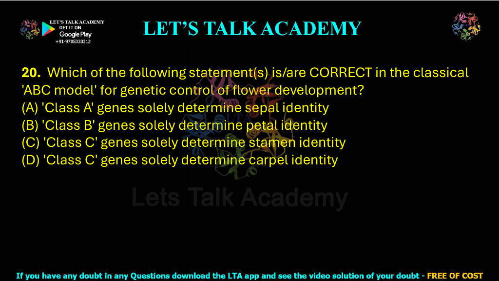 20. Which of the following statement(s) is/are CORRECT in the classical 'ABC model' for genetic control of flower development?      (A) 'Class A' genes solely determine sepal identity  (B) 'Class B' genes solely determine petal identity  (C) 'Class C' genes solely determine stamen identity  (D) 'Class C' genes solely determine carpel identity