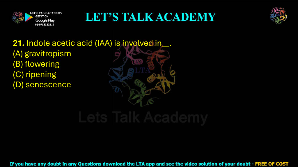 21. Indole acetic acid (IAA) is involved in _____.      (A) gravitropism           (B) flowering    (C) ripening      (D) senescence