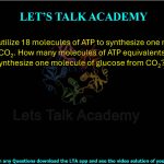 22. C3 plants utilize 18 molecules of ATP to synthesize one molecule of glucose from CO2. How many molecules of ATP equivalents are used by C4 plants to synthesize one molecule of glucose from CO2?                   