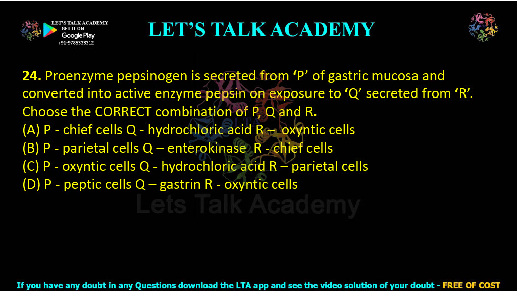 24. Proenzyme pepsinogen is secreted from ‘P’ of gastric mucosa and converted into active enzyme pepsin on exposure to ‘Q’ secreted from ‘R’. Choose the CORRECT combination of P, Q and R. (A) P - chief cells Q - hydrochloric acid R –  oxyntic cells (B) P - parietal cells Q – enterokinase  R - chief cells (C) P - oxyntic cells Q - hydrochloric acid R – parietal cells (D) P - peptic cells Q – gastrin R - oxyntic cells