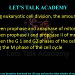 24. During eukaryotic cell division, the amount of DNA doubles  (A) between prophase and anaphase of mitosis (B) between prophase I and prophase II of meiosis (C) between the G 1 and G2 phases of the cell cycle (D) during the M phase of the cell cycle