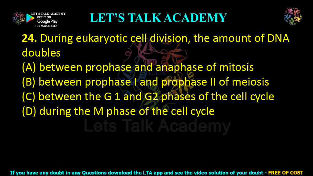 24. During eukaryotic cell division, the amount of DNA doubles  (A) between prophase and anaphase of mitosis (B) between prophase I and prophase II of meiosis (C) between the G 1 and G2 phases of the cell cycle (D) during the M phase of the cell cycle