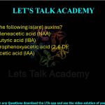 25. Which of the following is(are) auxins?  (A) 1-Naphthaleneacetic acid (NAA) (B) Indole-3-butyric acid (IBA) (C) 2,4-Dichlorophenoxyacetic acid (2,4-D) (D) Indole-3-acetic acid (IAA)