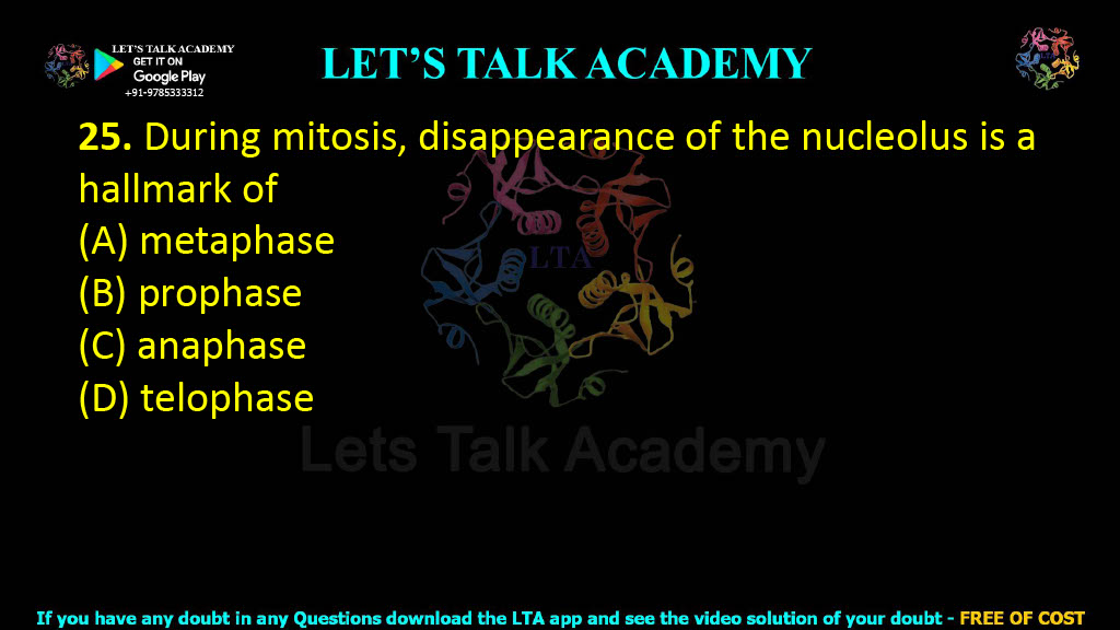 25. During mitosis, disappearance of the nucleolus is a hallmark of  (A) metaphase   (B) prophase     (C) anaphase     (D) telophase