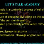 27. Apoptosis is a controlled process of cell death. The process involves  (A) exposure of phosphatidyl serine on the outer surface of the cell membrane (B) decreased permeability of the outer mitochondrial membrane (C) increased lysosomal activity (D) inter-nucleosomal cleavage of genomic DNA