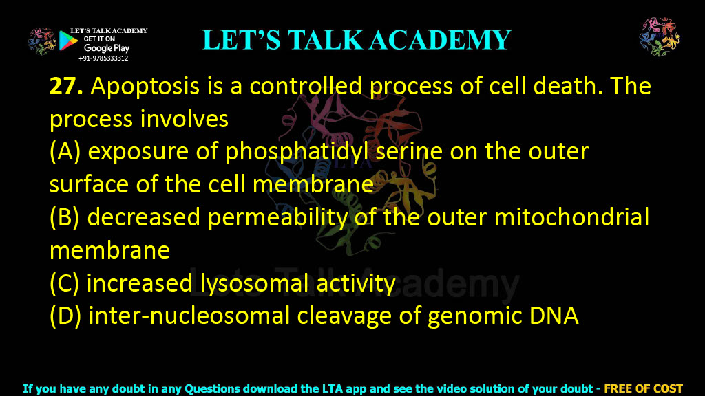 27. Apoptosis is a controlled process of cell death. The process involves  (A) exposure of phosphatidyl serine on the outer surface of the cell membrane (B) decreased permeability of the outer mitochondrial membrane (C) increased lysosomal activity (D) inter-nucleosomal cleavage of genomic DNA