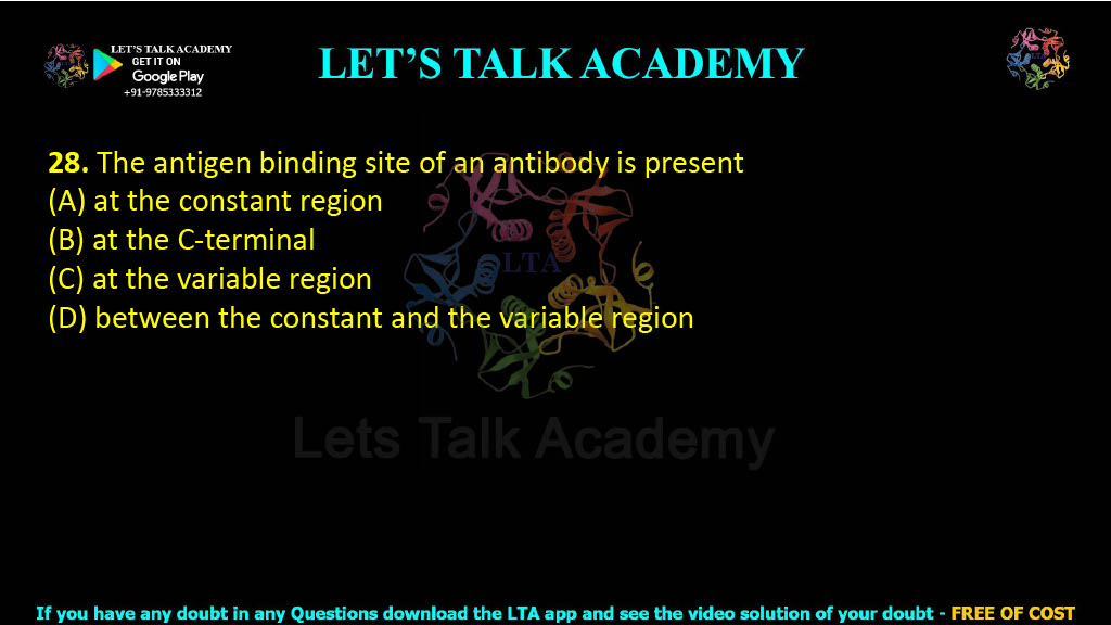 28. The antigen binding site of an antibody is present  (A) at the constant region (B) at the C-terminal (C) at the variable region (D) between the constant and the variable region