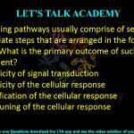 28. Signaling pathways usually comprise of several intermediate steps that are arranged in the form of a cascade. What is the primary outcome of such an arrangement?  (A) Specificity of signal transduction (B) Specificity of the cellular response (C) Amplification of the cellular response (D) Fine-tuning of the cellular response