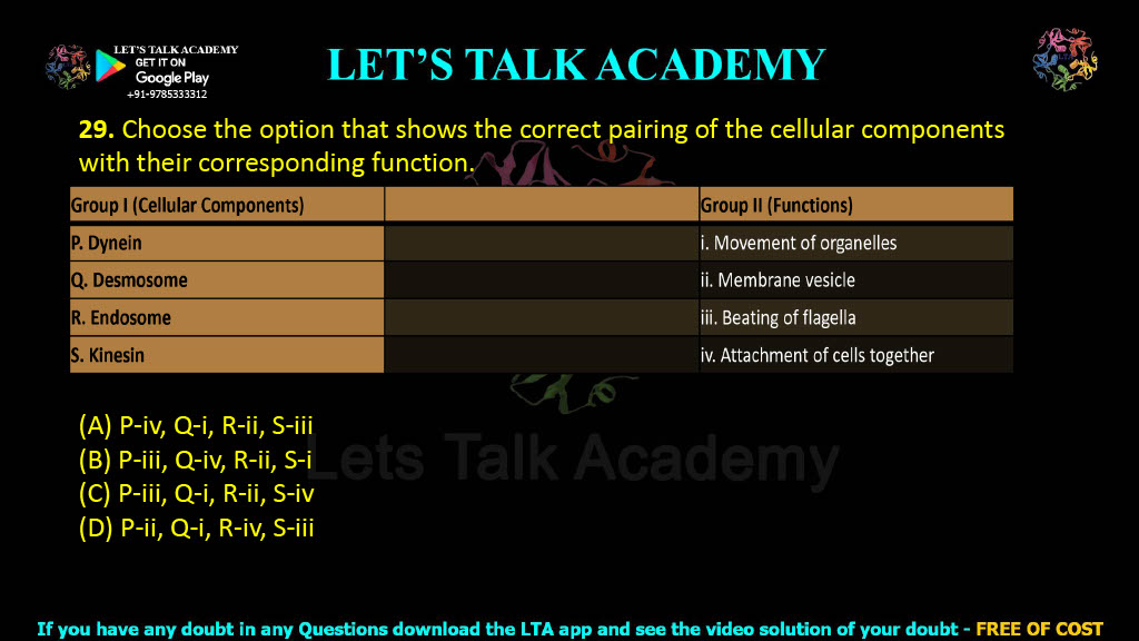 29. Choose the option that shows the correct pairing of the cellular components with their corresponding function.  P. Dynein                              i. Movement of organelles Q. Desmosome                    ii. Membrane vesicle R. Endosome                       iii. Beating of flagella S. Kinesin                             iv. Attachment of cells together (A) P-iv, Q-i, R-ii, S-iii   (B) P-iii, Q-iv, R-ii, S-i (C) P-iii, Q-i, R-ii, S-iv   (D) P-ii, Q-i, R-iv, S-iii