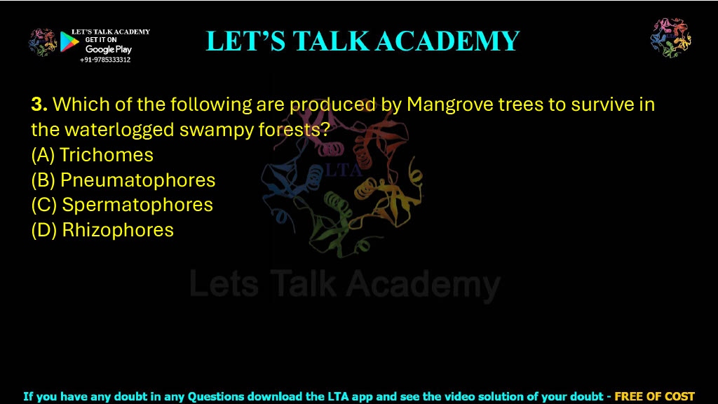 3. Which of the following are produced by Mangrove trees to survive in the waterlogged swampy forests?  (A) Trichomes (B) Pneumatophores (C) Spermatophores (D) Rhizophores