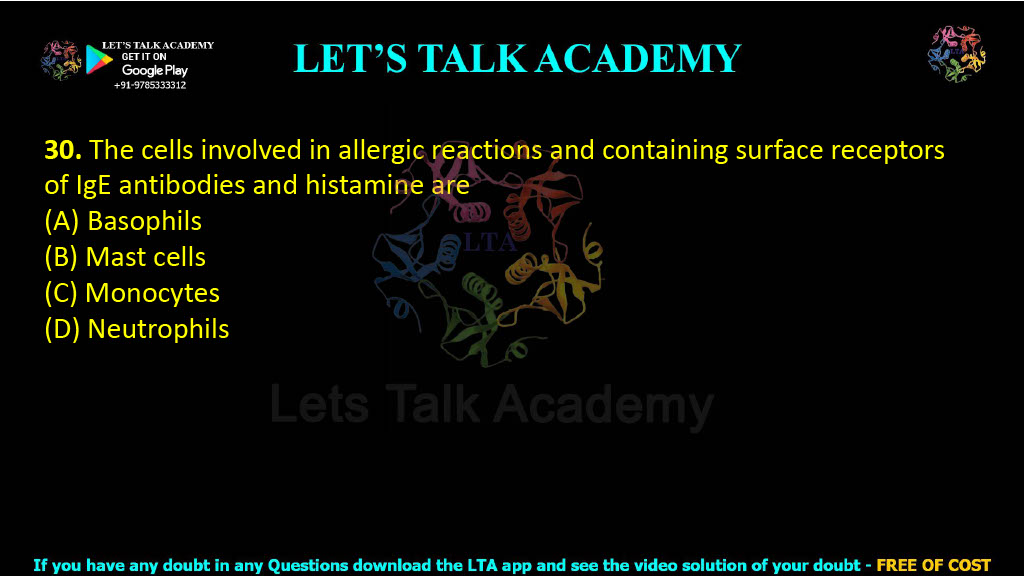 30. The cells involved in allergic reactions and containing surface receptors of IgE antibodies and histamine are  (A) Basophils                (B) Mast cells    (C) Monocytes                (D) Neutrophils