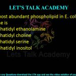 32. The most abundant phospholipid in E. coli plasma membrane is  (A) Phosphatidyl ethanolamine (B) Phosphatidyl choline (C) Phosphatidyl serine (D) Phosphatidyl inositol