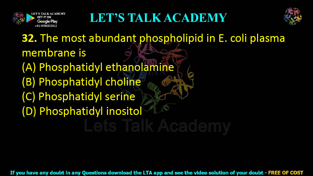 32. The most abundant phospholipid in E. coli plasma membrane is  (A) Phosphatidyl ethanolamine (B) Phosphatidyl choline (C) Phosphatidyl serine (D) Phosphatidyl inositol