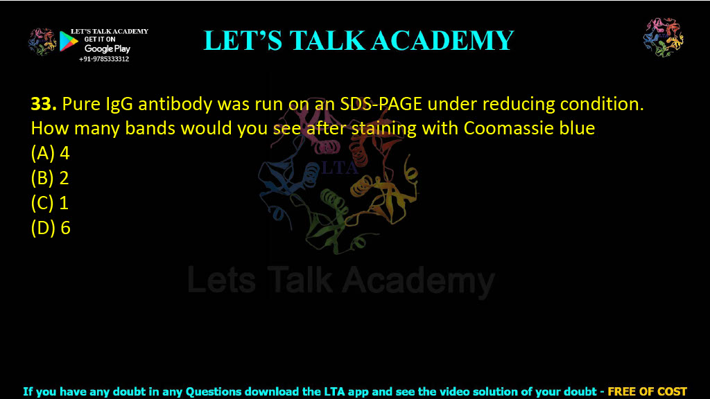 33. Pure IgG antibody was run on an SDS-PAGE under reducing condition. How many bands would you see after staining with Coomassie blue  (A) 4    (B) 2     (C) 1     (D) 6
