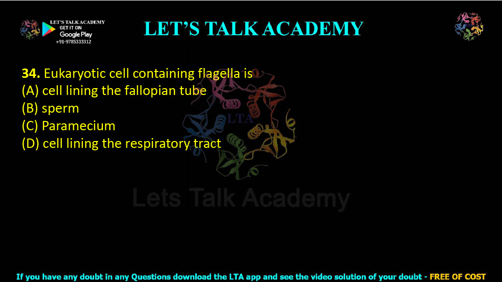 34. Eukaryotic cell containing flagella is  (A) cell lining the fallopian tube  (B) sperm (C) Paramecium (D) cell lining the respiratory tract