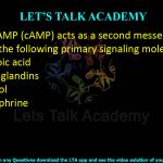4. Cyclic AMP (cAMP) acts as a second messenger for which of the following primary signaling molecule(s)?  (A) Retinoic acid (B) Prostaglandins (C) Cortisol (D) Epinephrine