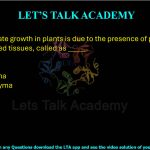 4. Indeterminate growth in plants is due to the presence of perpetually undifferentiated tissues, called as _____.  (A) Tracheids (B) Meristems (C) Parenchyma (D) Sclerenchyma